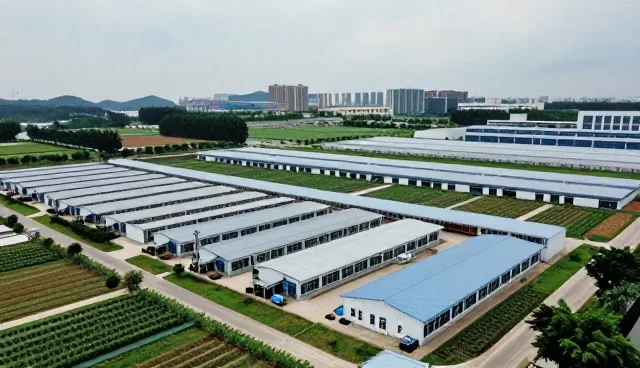 医疗流程中健康管理服务选型的关键关注点